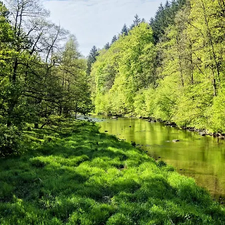 Alte Bleiche Apartament Lengefeld (Saxony)