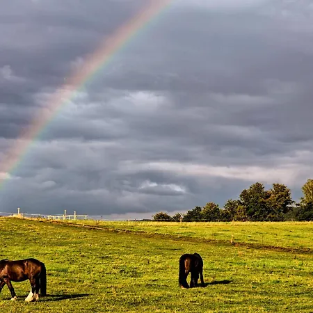 Apartament Alte Bleiche *