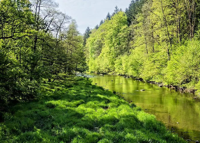 Alte Bleiche Apartament Lengefeld (Saxony)