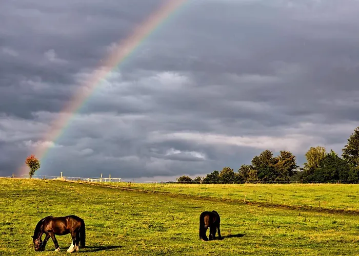 Apartament Alte Bleiche *